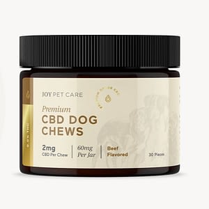 CBD dog chews