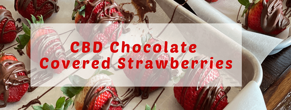 How to make CBD Chocolate Covered Strawberries