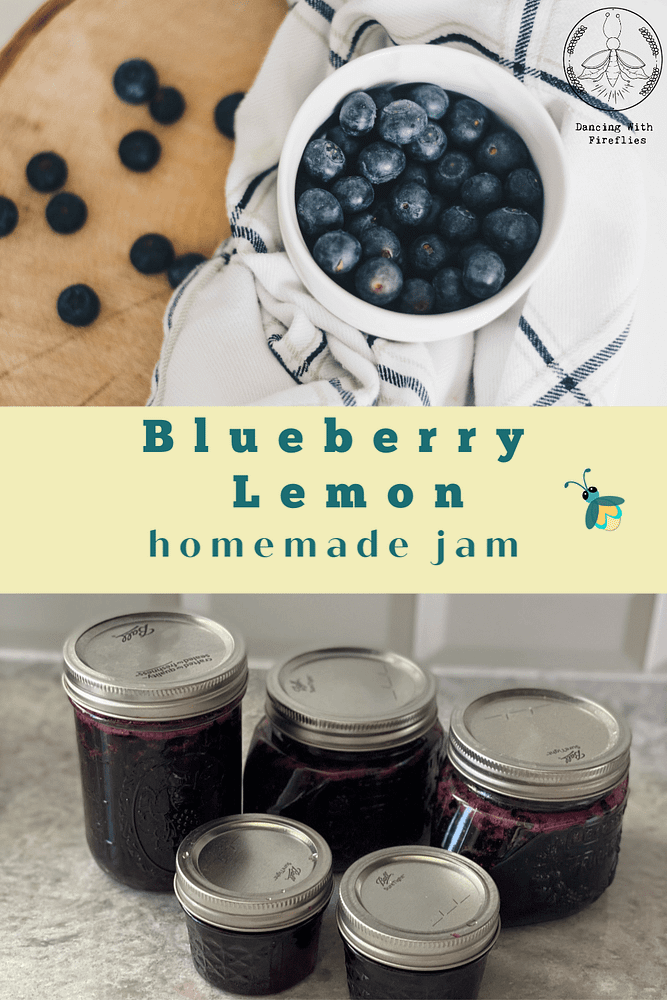 Blueberry Lemon Jam Recipe
