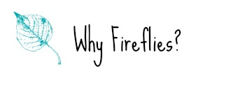 Why Fireflies?