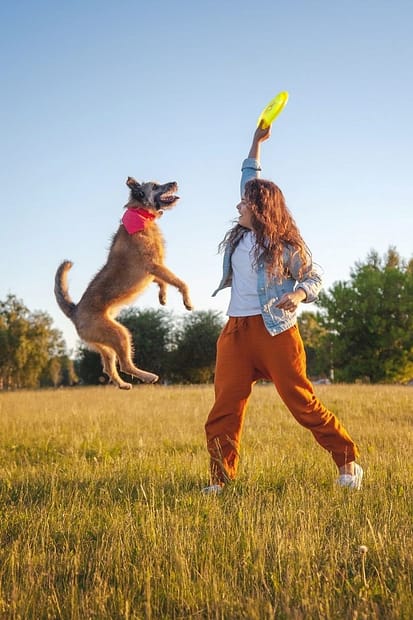 Energizing Ways To Spend More Time With Your Pet Outdoors