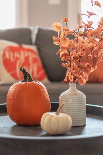 Fall Farmhouse Decorating Ideas To Wow Your Guests
