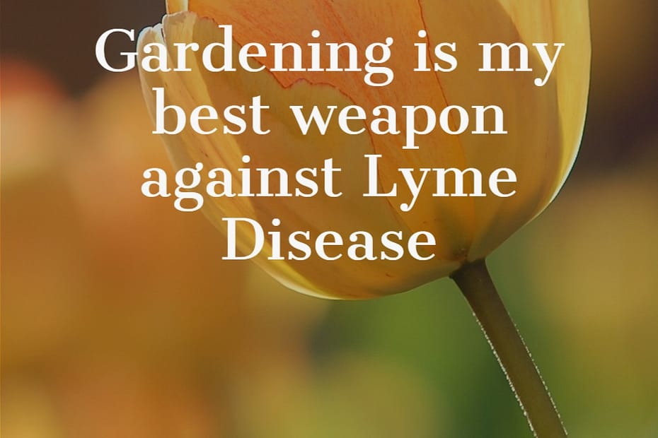 Gardening for health